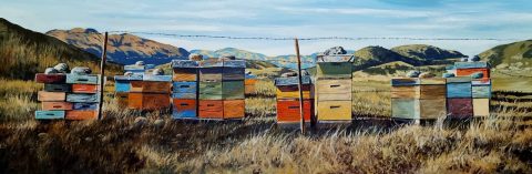 Beehives on the way to Glendhu Bay